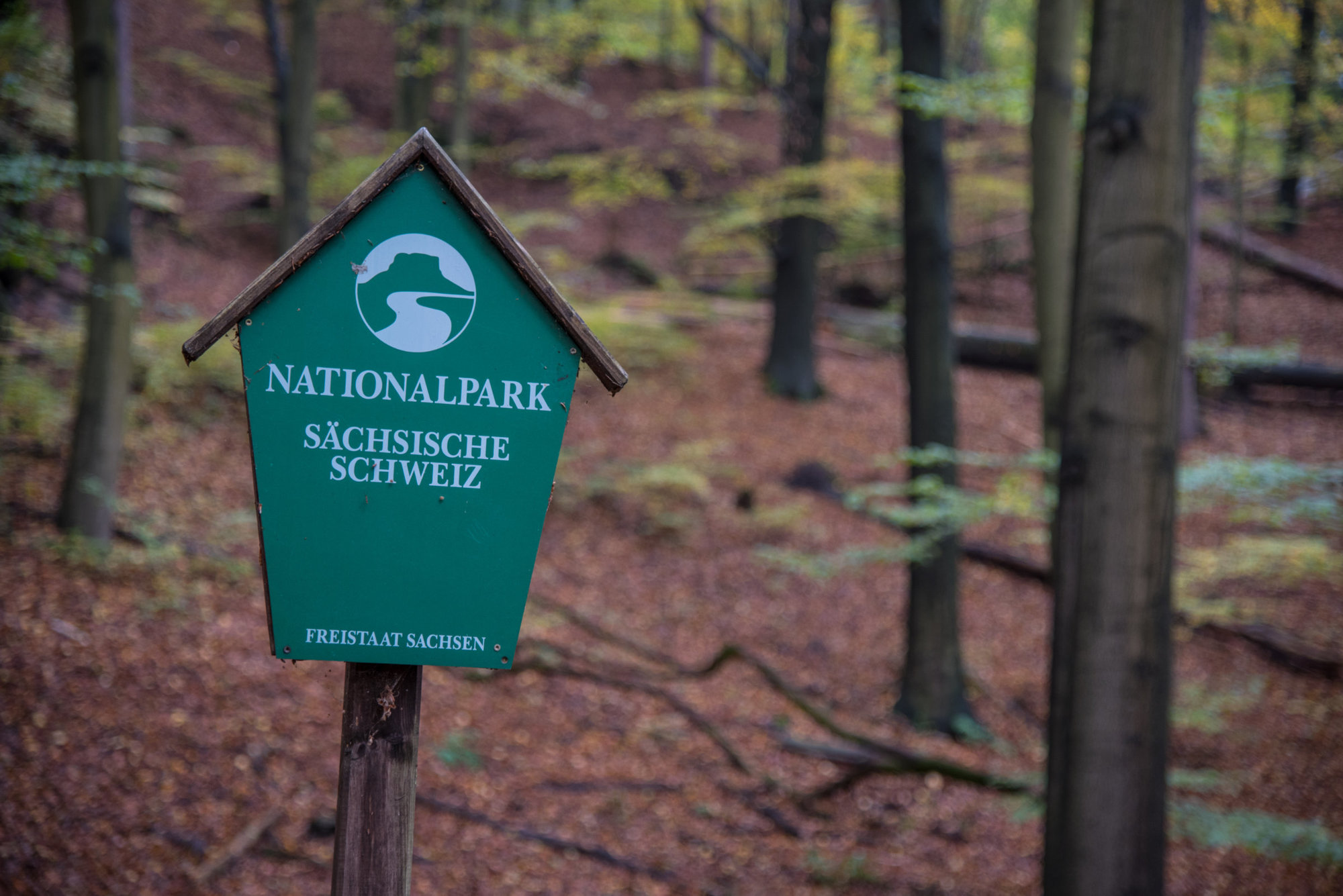 Holzschild mit Aufschrift Nationalpark Sächsische Schweiz im Wald